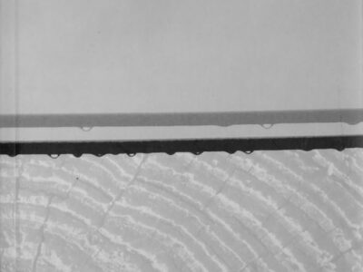 Al Filo Del Pasado: Filosofía Hermenéutica Y Transmisión Cultural