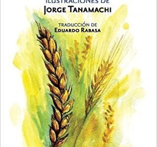 Convertir La Paja En Oro