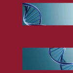 Debate En Bioética