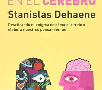La conciencia en el cerebro