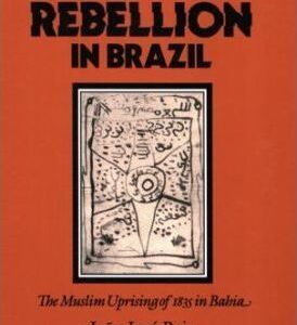 Slave Rebellion In Brazil