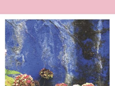 Diario De Virginia Woolf III (1925-1930)