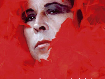 Resistencia De La Loca Barroca De Pedro Lemebel, La : Anomia Y Militan