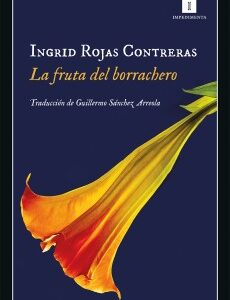 La fruta del borrachero