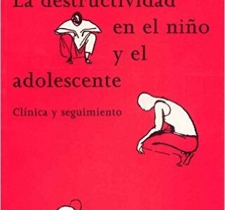 Destructividad En El Niño Y El Adolescente