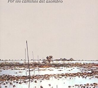 La Verdad Del Silencio : Por Los Caminos Del Asombro