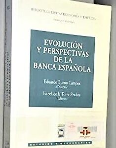Evolución Y Perspectivas De La Banca Española