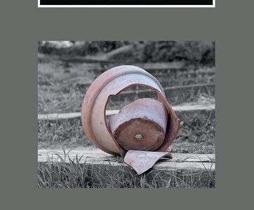 Psicoterapia De La Violencia Filio-Parental : Entre El Secreto Y La Ve