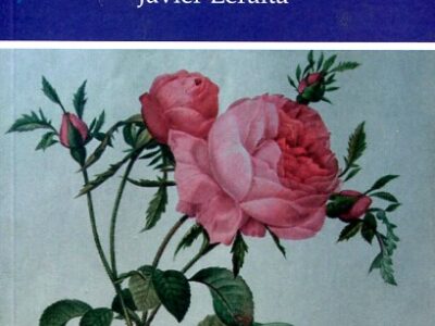 Teresa De Jesús : Una Mujer Revolucionaria