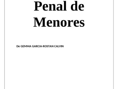 El Proceso Penal De Los Menores