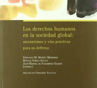 Derechos Humanos En La Sociedad Global : Mecanismos Y Vías Prácticas