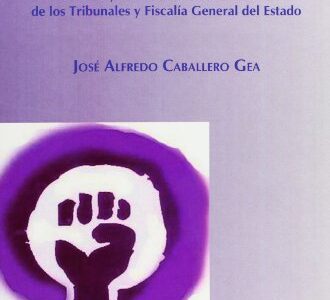 Violencia De Género : Juzgados De Violencia Sobre La Mujer Penal Y Civ