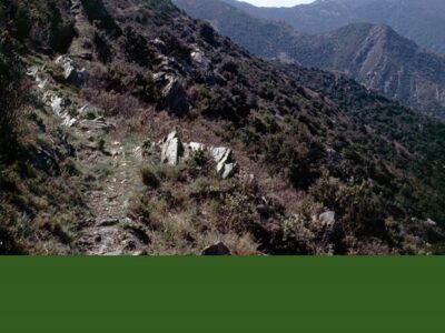 Unterwegs Al Paso De Walter Benjamin