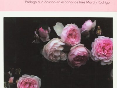 Diario de Virginia Woolf I (1915-1919)