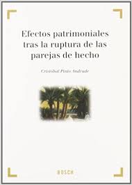 Efectos Patrimoniales Tras La Ruptura De Las Parejas De Hecho
