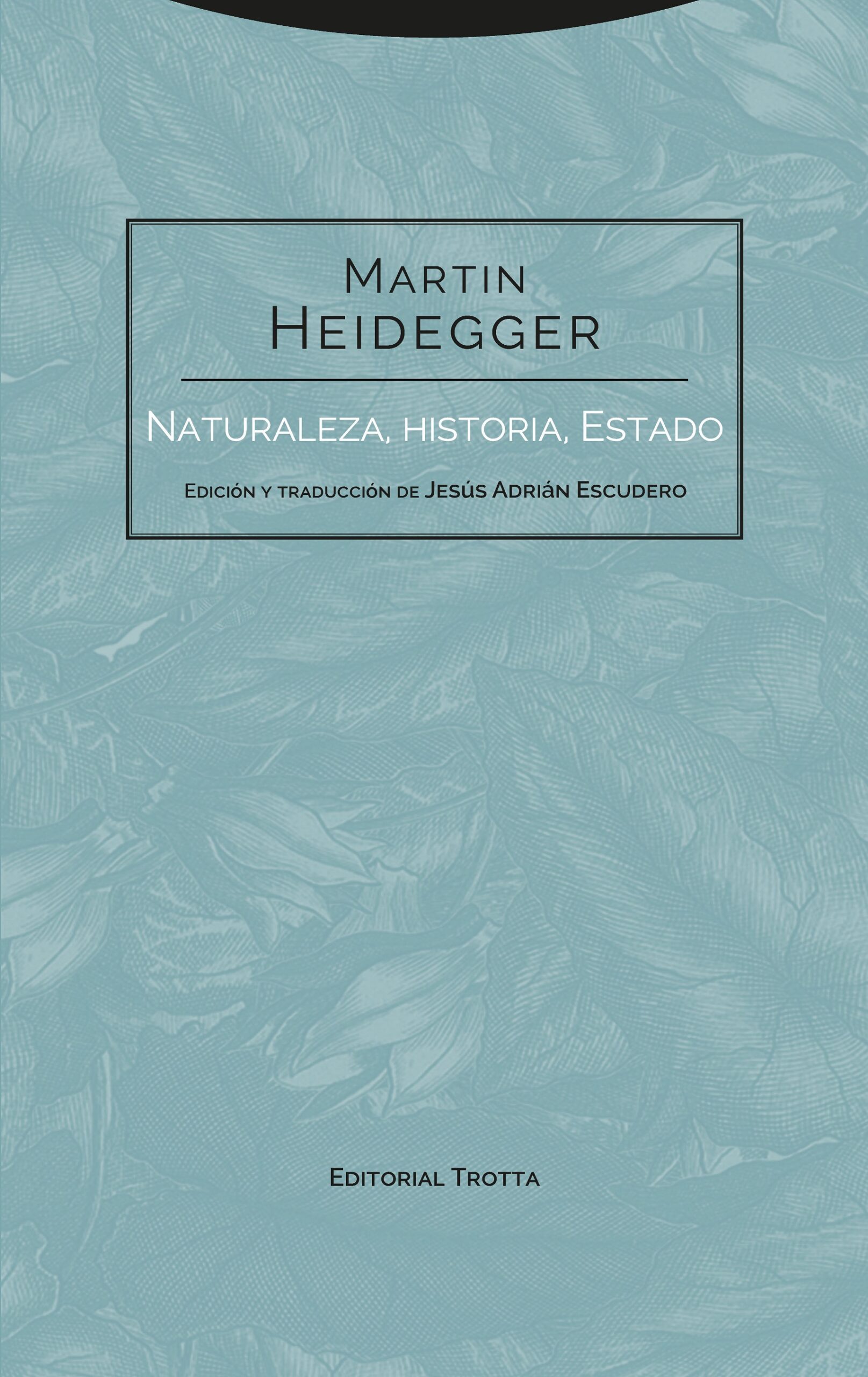 Naturaleza, historia, estado