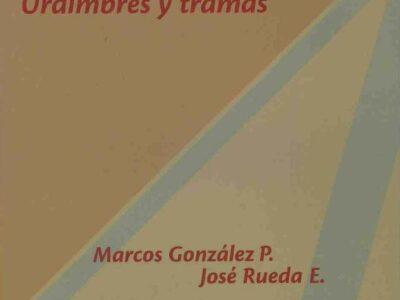 Investigación Interdisciplinaria : Urdimbres Y Tramas