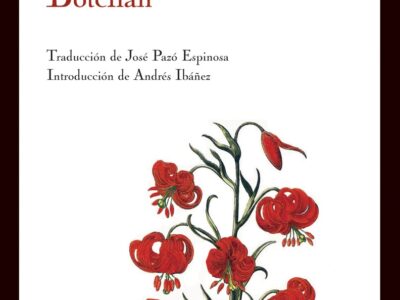 Botchan