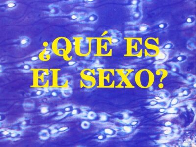 Que es el sexo?