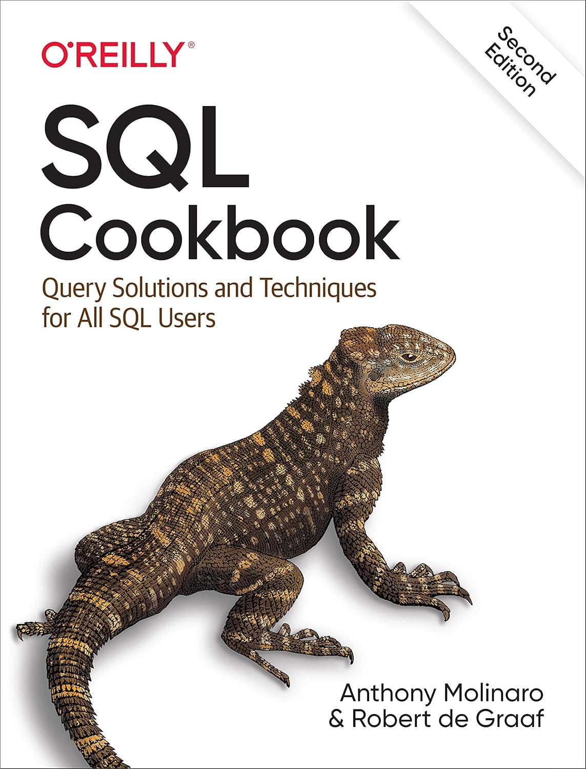 Sql cookbook : query solutions and techniques for all sql users (2nd