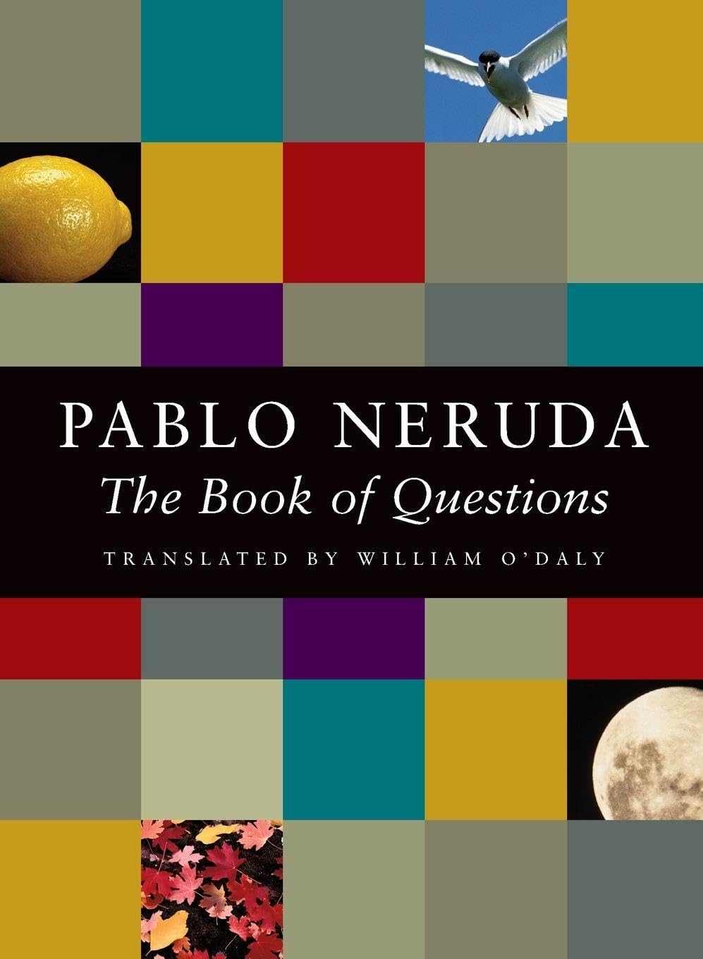 The book of questions