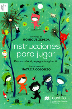 Instrucciones para jugar