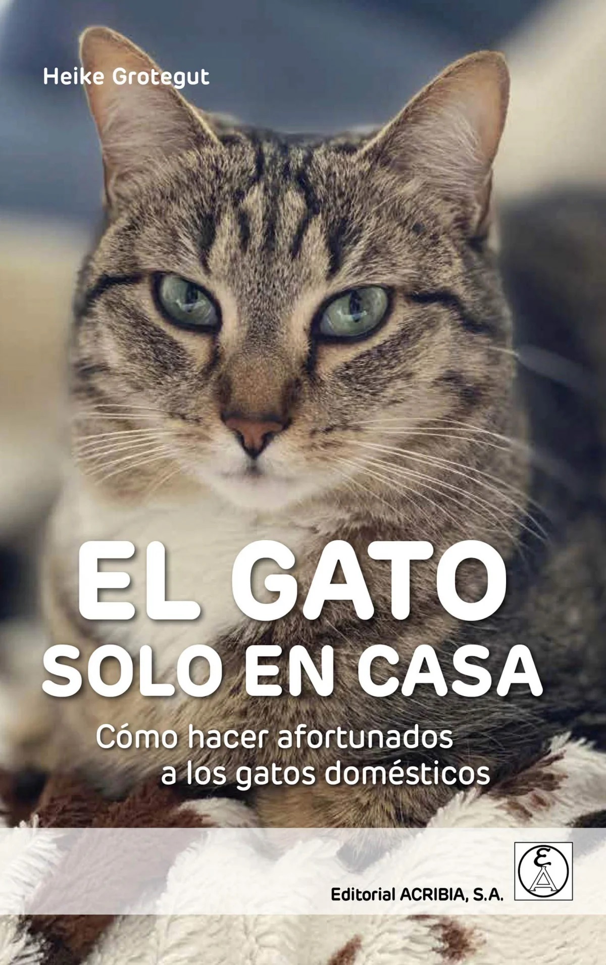 El gato solo en casa : como hacer afortunados a los gatos domésticos