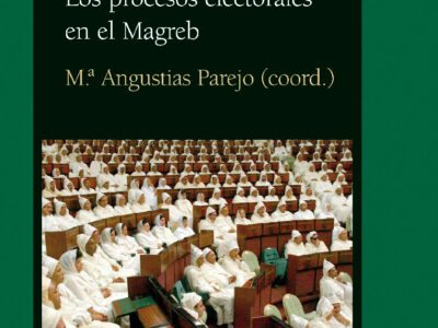 Entre el autoritarismo y la democracia : los procesos electorales en
