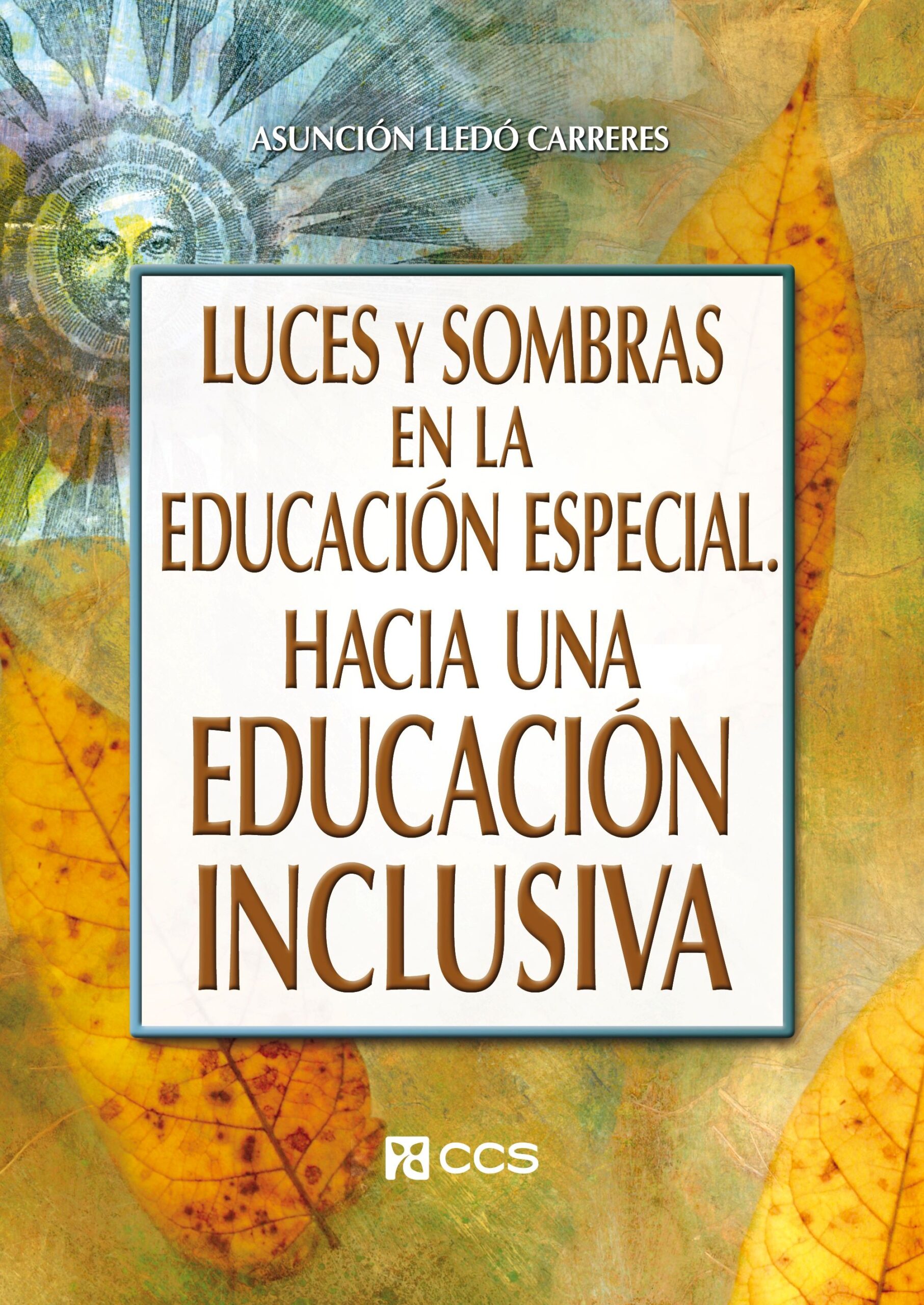 Luces y sombras en la educación especial hacia una educación inclusiva