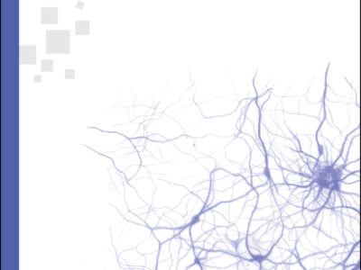 Cerebro y trascendencia