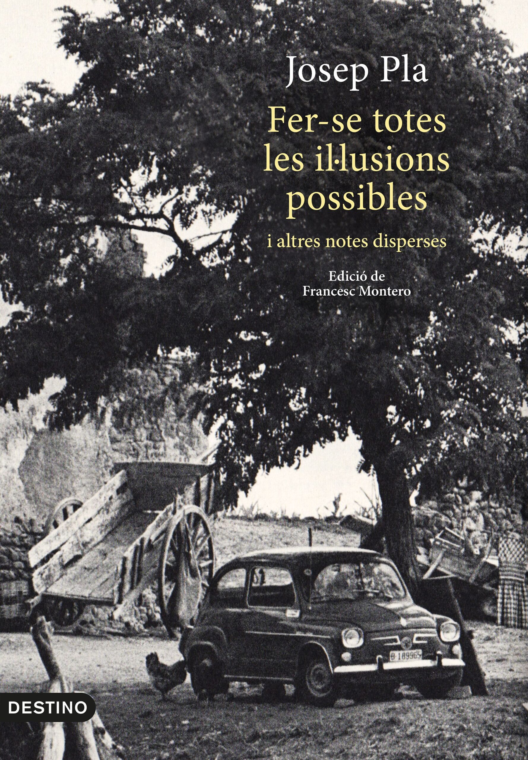 Fer-se totes les il·lusions possibles (catalán)