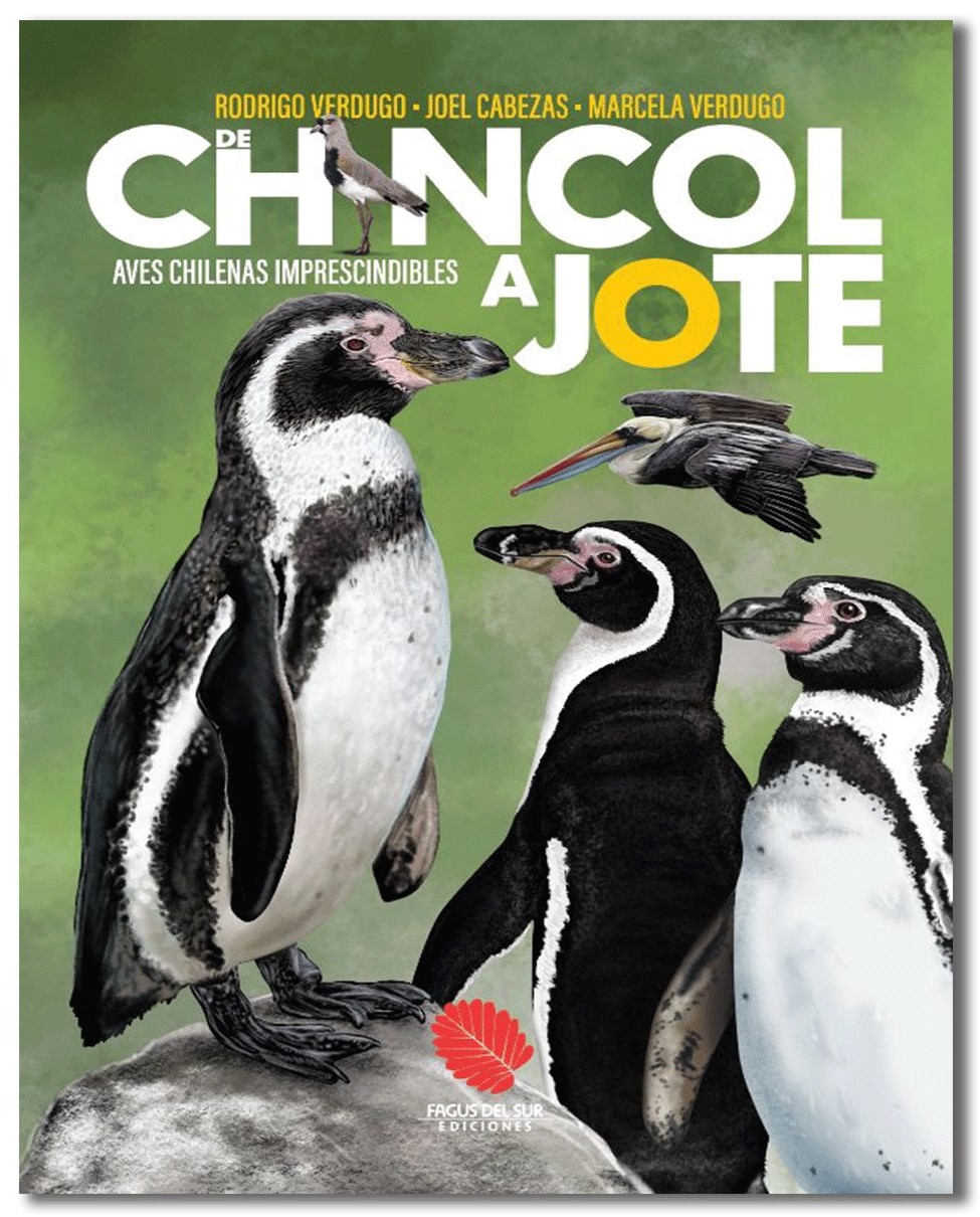 De chincol a jote : aves chilenas imprescindibles, 4° ed.