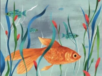 El tiempo de los peces