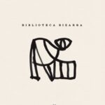 Biblioteca bizarra