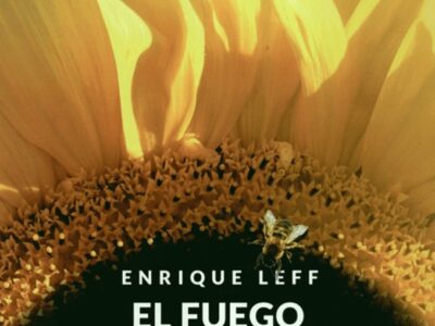 El Fuego De La Vida : Heidegger Ante La Cuestión Ambiental