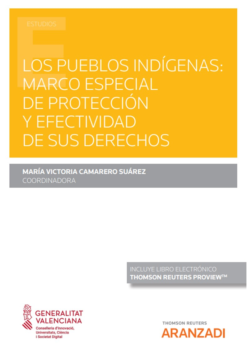 Los pueblos indigenas : marco especial de proteccion y efectividad de