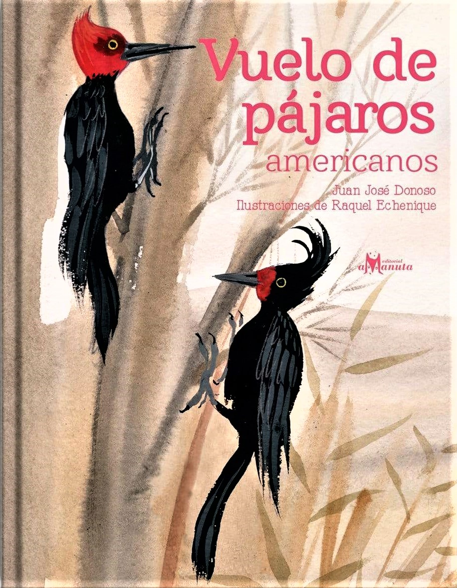 Vuelo de pájaros americanos