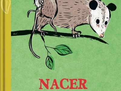 Nacer