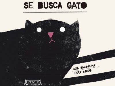 Se busca gato