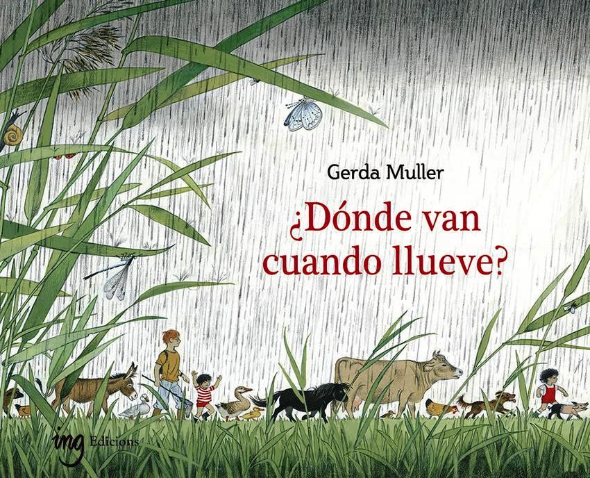 Donde van cuando llueve?