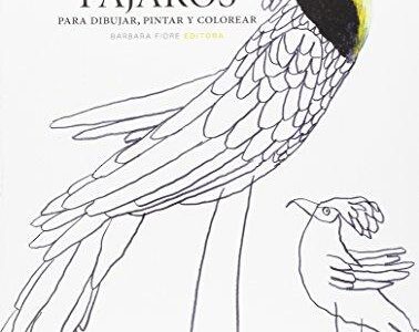Pájaros Para Dibujar, Pintar Y Colorear