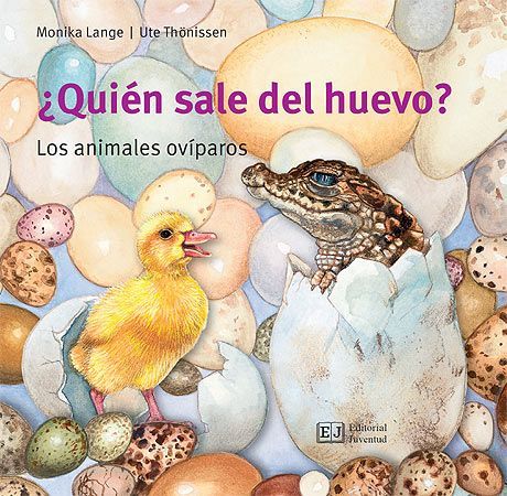 Quien Sale Del Huevo