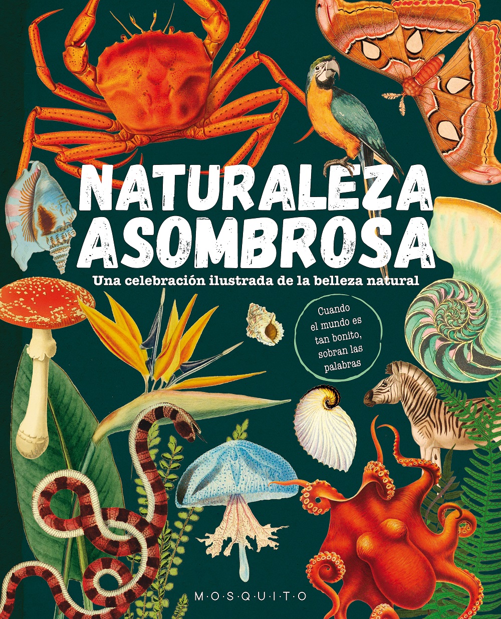 Naturaleza Asombrosa
