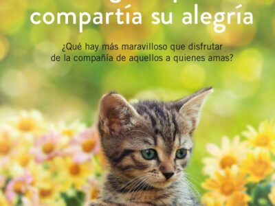 El Gato Que Compartía Su Alegría