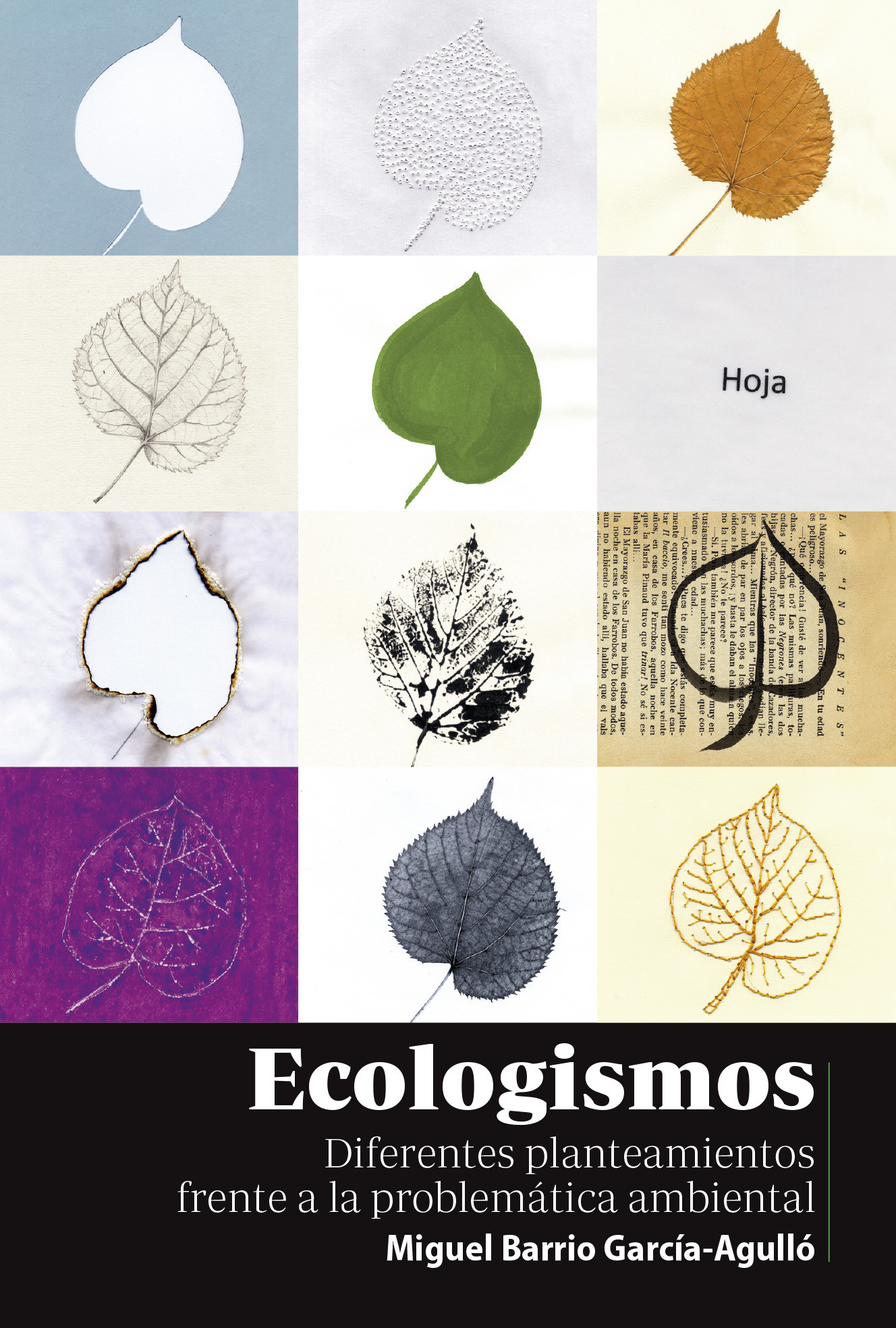Ecologismos : Diferentes Planteamientos Frente A La Problemática