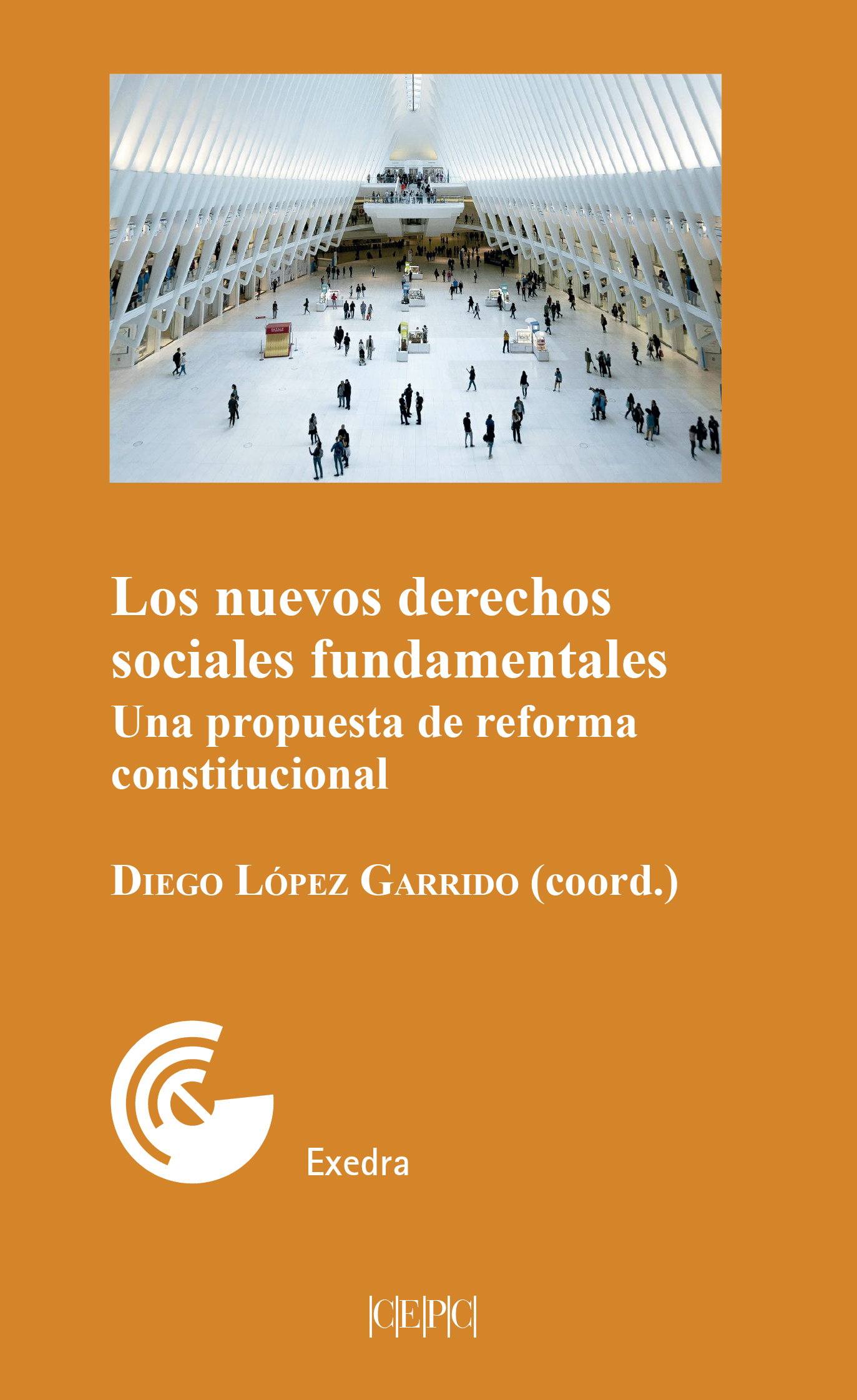 Nuevos Derechos Sociales Fundamentales, Los : Una Propuesta De Reforma