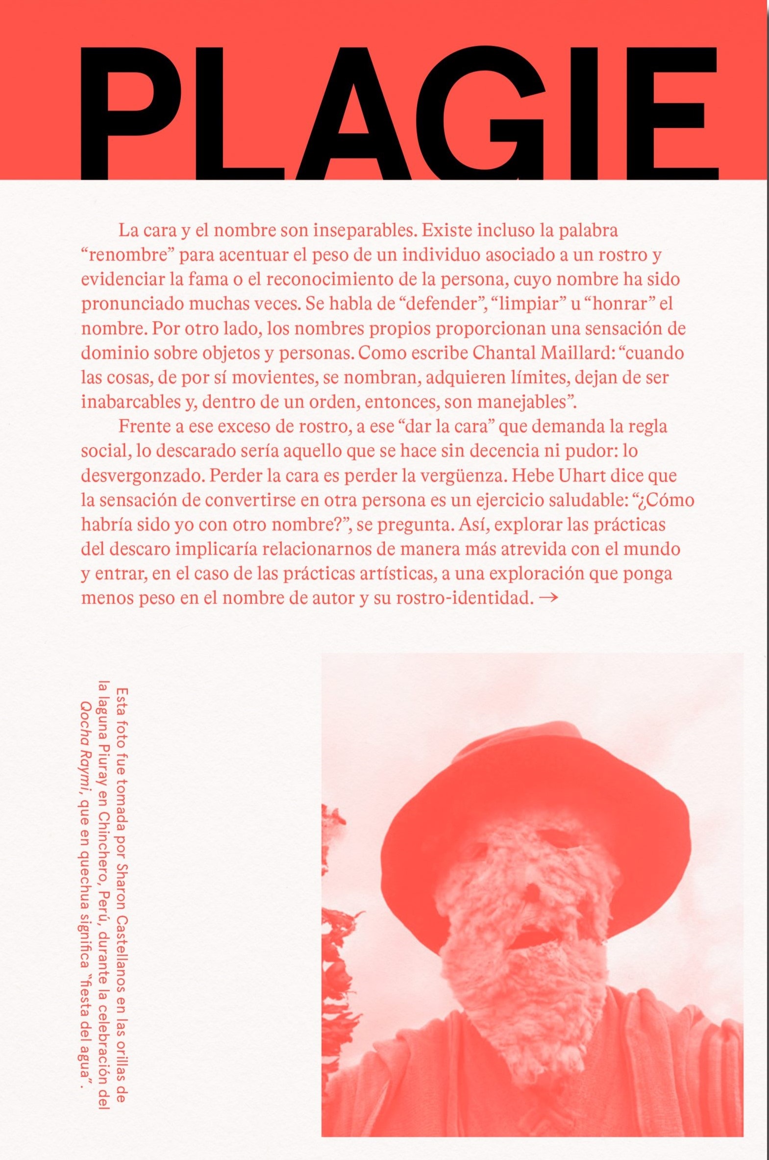 Plagie, copie, manipule, robe, reescriba este libro