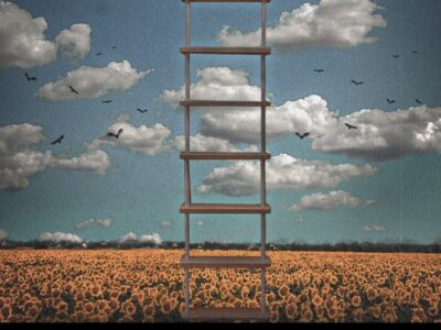 A thousand mornings : mil mañanas