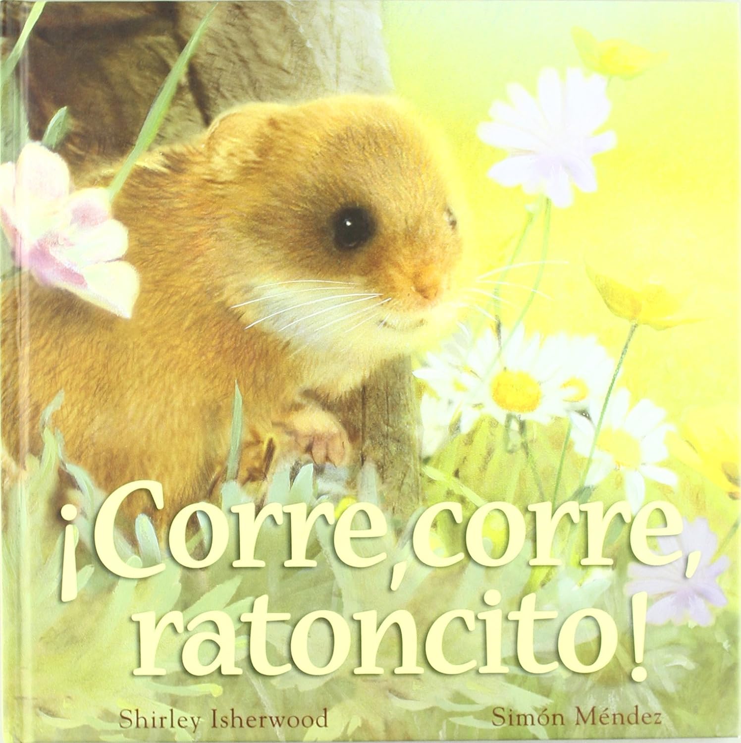 Corre corre ratoncito!