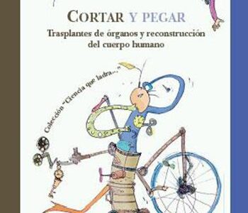 Cortar y pegar: Trasplantes de órganos y reconstrucción del cuerpo